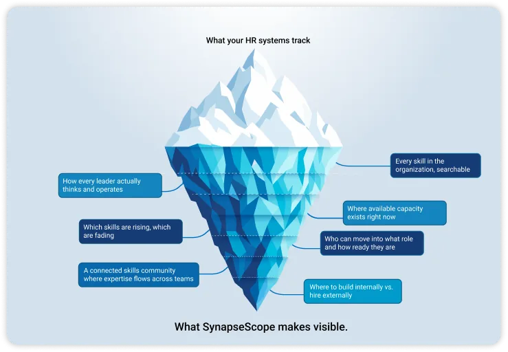 What your HR system tracks vs What SynapseScope makes visible