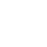 GDPR Icon
